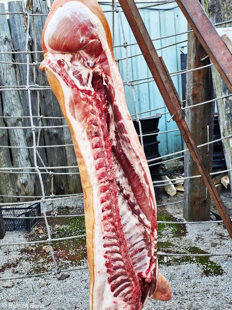 SÚKROMNÁ STREDNÁ ODBORNÁ ŠKOLA Postupimská 37, Košice